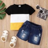 Boy Colorblock Short Sleeve Tshirt & Ripped Denim Shorts Set