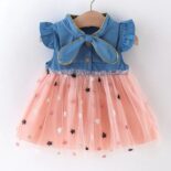 Baby Star Embroidered Denim Dresses