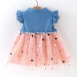 Baby Star Embroidered Denim Dresses - Image 3