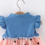 Baby Star Embroidered Denim Dresses - Image 5