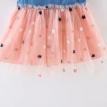 Baby Star Embroidered Denim Dresses - Image 6