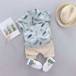 Toddler Boys 2 Piece Feather Print Shirt and Shorts Set