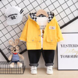 New Spring and Autumn Boys 1-4 years old version hooded cartoon casual pullover suit long sleeve pants suit children's clothing - Image 2