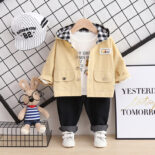 New Spring and Autumn Boys 1-4 years old version hooded cartoon casual pullover suit long sleeve pants suit children's clothing - Image 3