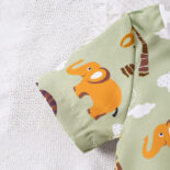 Children's clothing holiday style boy shirt set