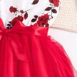 Spring and summer girls' clothing 10-12 years old new middle and large children's flying sleeve princess dress children's dress - Image 8