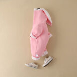 Baby onesies, spring and autumn and winter female treasures, cute rabbits, full moon crawling clothes, velvet and thickening outings - Image 4