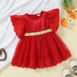 Summer New Girl Baby Red Princess Mesh Dress