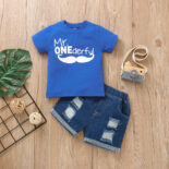 Children's clothing for boys and girls and babies in summer new short sleeve printed letter blue top denim shorts two-piece set