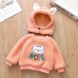 Girls long sleeved top with fleece thickened winter new baby embroidery warm sweatshirt children's pullover - Image 3