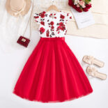 Spring and summer girls' clothing 10-12 years old new middle and large children's flying sleeve princess dress children's dress - Image 2