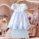 Girls princess dress summer dress new style kids skirt bow puff sleeve summer dress - Image 2