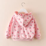Girls' Spring Wear Hooded Sweatshirt New Baby Girl Style Tops Spring and Autumn Clothes for Kids with Long Sleeves Tide - Image 2
