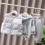 Children's Clothing Boys Autumn and Winter Clothes Fleece Thickened Three-piece Suit Baby Winter Handsome Vest Sweatshirt Baby Children - Image 2
