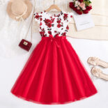 Spring and summer girls' clothing 10-12 years old new middle and large children's flying sleeve princess dress children's dress - Image 2