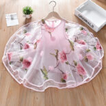 Girls gauze skirt new dresses, summer clothes, baby children's clothes, puffy skirts, children's super fairy princess dresses