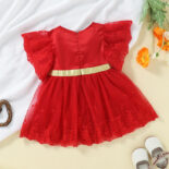 Summer New Girl Baby Red Princess Mesh Dress - Image 2
