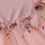 Embroidered mesh princess dresses - Image 4