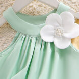 New girls summer fashion suits, halterneck three-dimensional flower tops, solid color shorts - Image 3