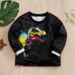 Boys sweatshirt top spring autumn tiger boy baby boy long sleeve t-shirt Tyrannosaurus rex print - Image 4