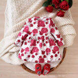 New baby full print multi-colored cute long-sleeved dress - Image 2