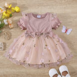 Embroidered mesh princess dresses