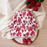 New baby full print multi-colored cute long-sleeved dress