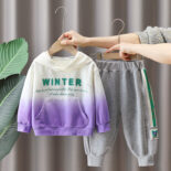 Boy's spring dress long sleeve hooded gradient sweatshirt set baby out two-piece set for babies and toddlers spring style - Image 3