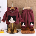 Baby velvet sweatshirt hoodie two-piece set boys and girls cartoon fox thickened warm clothes for children winter clothes - Image 2