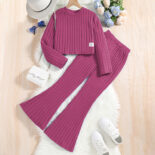 Girls' Casual Suit Autumn and Winter New Pit Strip Long Sleeve Top Flared Pants Children's Wear - Image 3