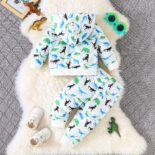 New fall two-piece baby boy athleisure dinosaur print pattern hooded long-sleeved top and trouser set - Image 2