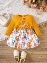 Autumn 0-2 Years Old Baby Set Baby Girl Short Long Sleeve Jacket + Floral Dress Two Piece Set - Image 5