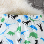 New fall two-piece baby boy athleisure dinosaur print pattern hooded long-sleeved top and trouser set - Image 8