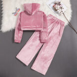 Children's Wear Fall/Winter New Velvet Embroidery Hooded Sweatshirt Casual Wide-leg Pants Girls Set - Image 2